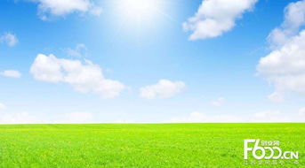 睿容空氣凈化器加盟指南 加盟費、官網、條件流程及政策支持解析