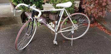 日本盧德摩托車代購與二手市場(chǎng)指南 價(jià)格、渠道與購買注意事項(xiàng)